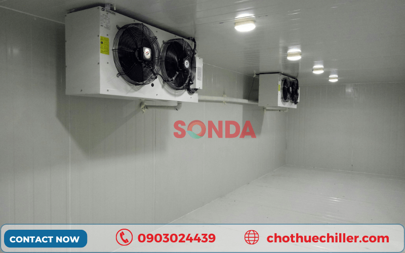 Thuê kho lạnh, container lạnh : Lựa chọn thông minh cho việc bảo quản hàng hóa nhạy cảm nhiệt đới